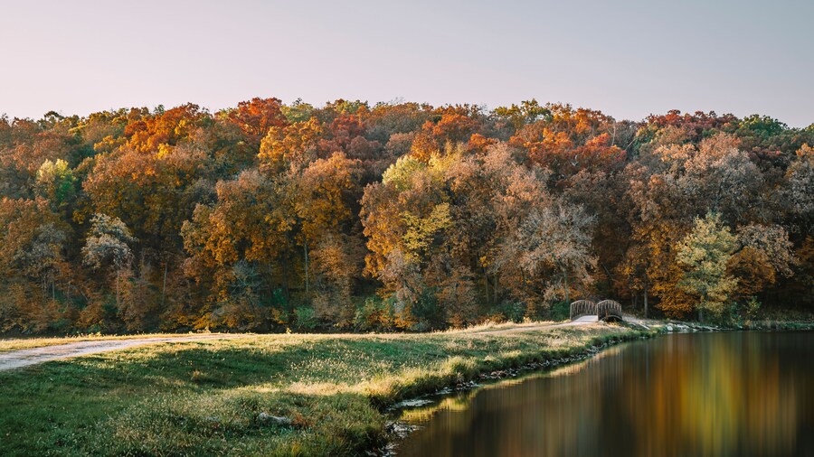 A pathway leading to an arched bridge over Lake Ahquabi with towering colorful fall trees and beautiful lake reflections as the morning sun shines down. Lake Ahquabi State Park, Indianola, IA, USA.