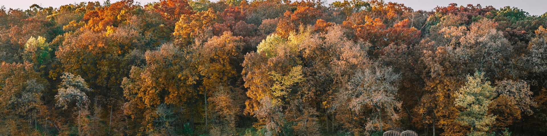 A pathway leading to an arched bridge over Lake Ahquabi with towering colorful fall trees and beautiful lake reflections as the morning sun shines down. Lake Ahquabi State Park, Indianola, IA, USA.
