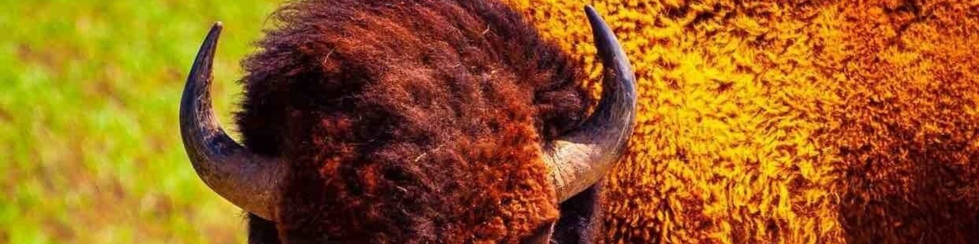 Nice trails to walk.