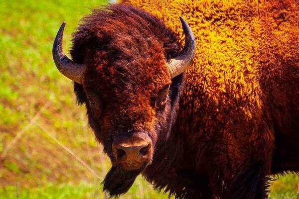 Nice trails to walk.