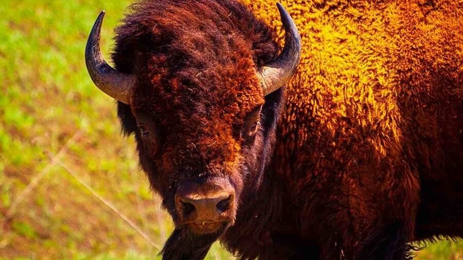 Nice trails to walk.