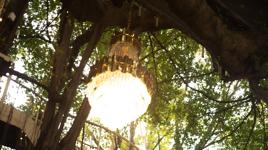 steel bridge stair on the big giant tree in the Tree House park on the sunlight day time