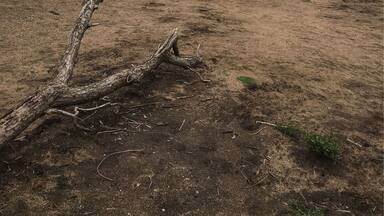 Somedays I'm still content with calling the Midwest home. Somedays. 🖤
Mt. Vernon, Iowa
Aug 2017
#myhometown #hometown #mtvernoniowa #iowa #midwest #palisadeskeplerstatepark #statepark #home #outdoors #hike #parks