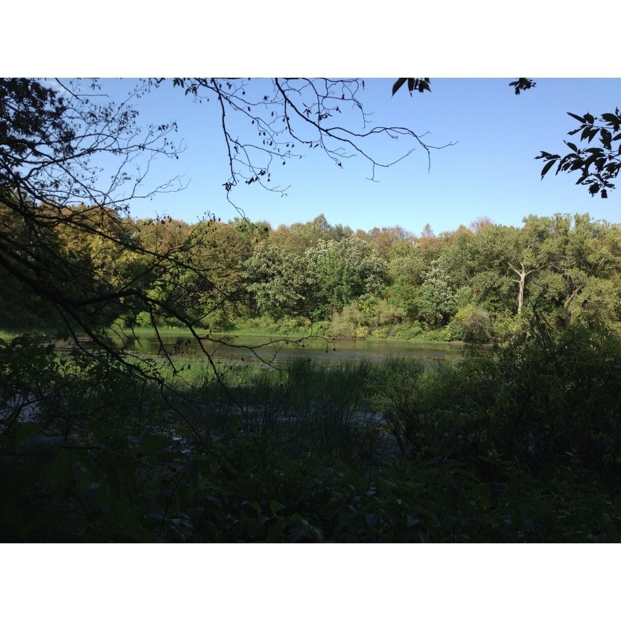 View of Dead Man's Lake, not sure why it's named that...don't really want to know.