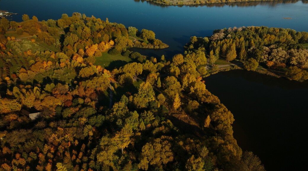 Flight over the autumn park. Park on the shore of a large lake. Trees with yellow autumn leaves are visible. Aerial photography.