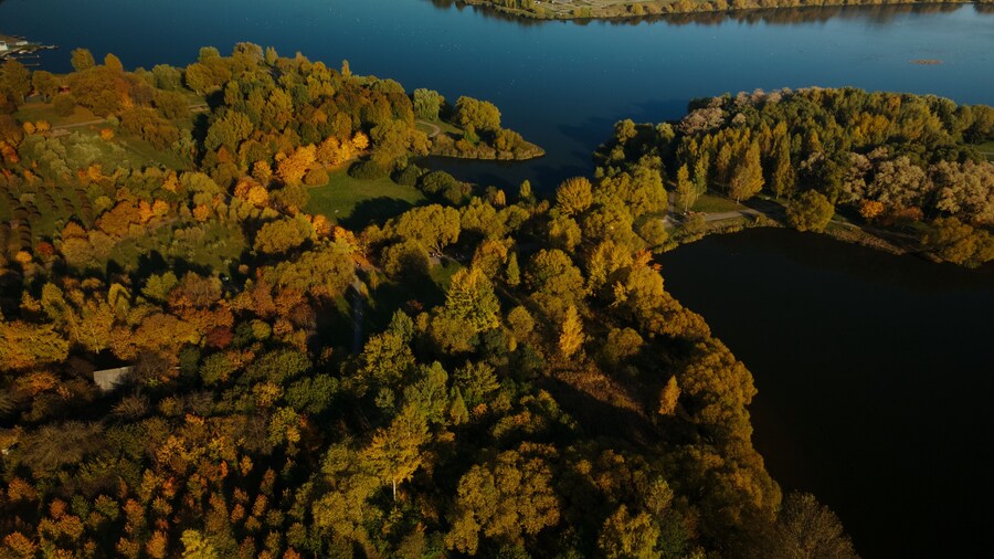 Flight over the autumn park. Park on the shore of a large lake. Trees with yellow autumn leaves are visible. Aerial photography.