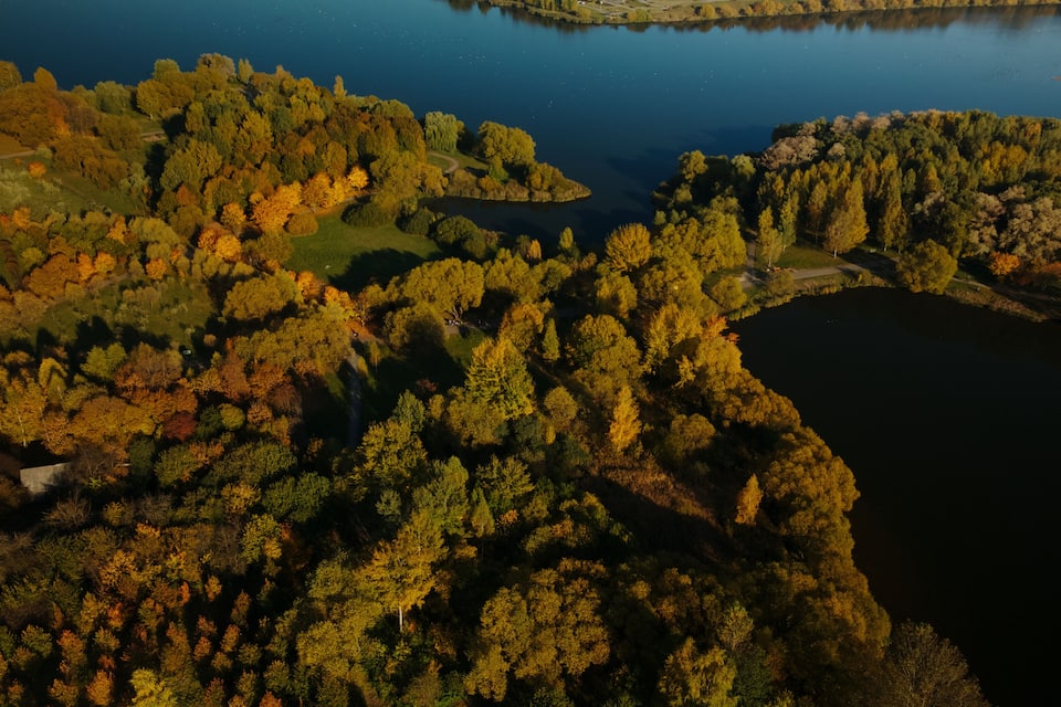 An aerial view of a forested area with a lake.