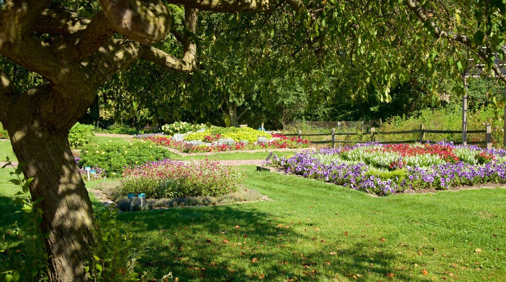 Dubuque Arboretum and Botanical Gardens