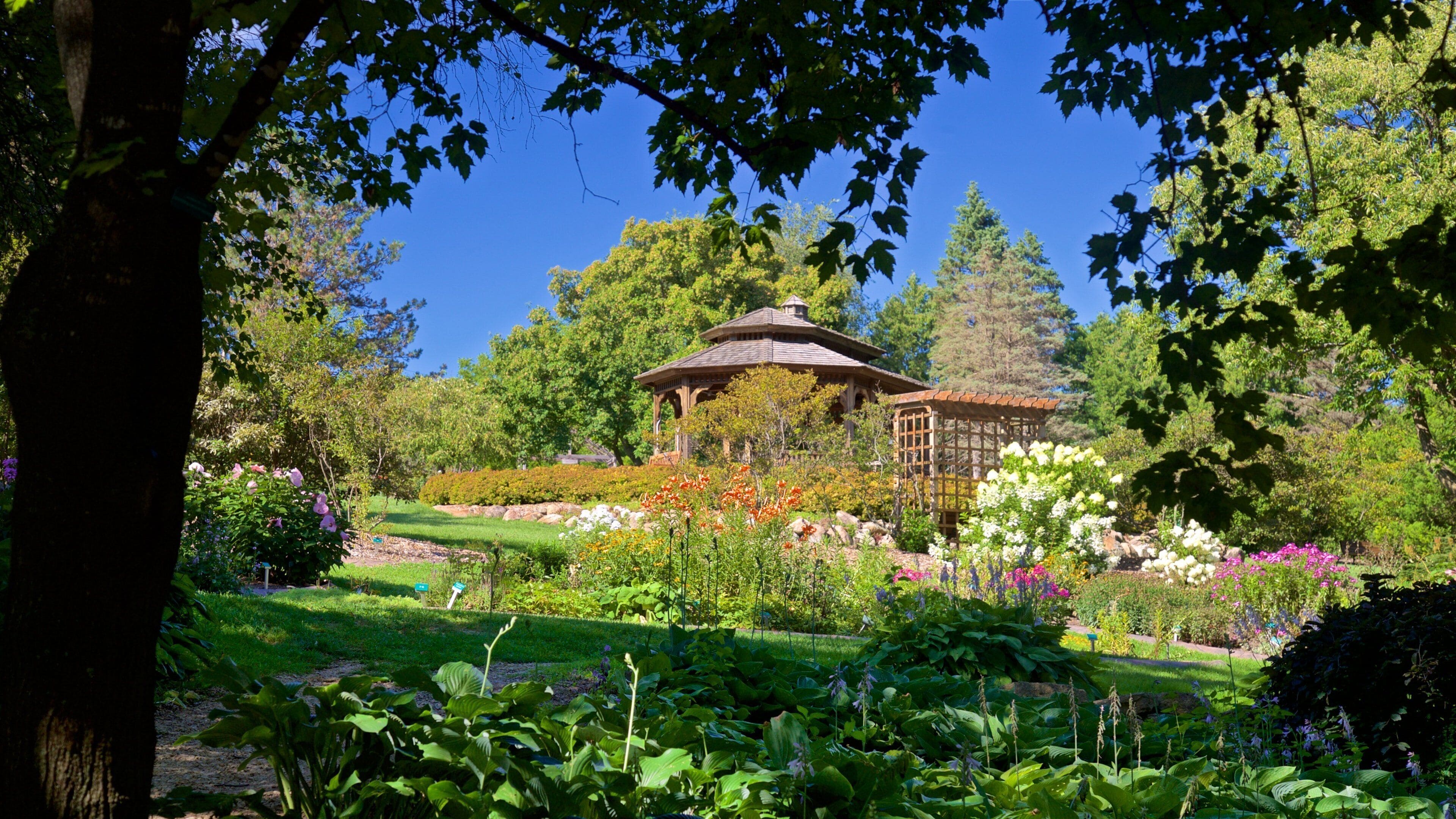 Dubuque Arboretum and Botanical Gardens which includes wild flowers and a garden