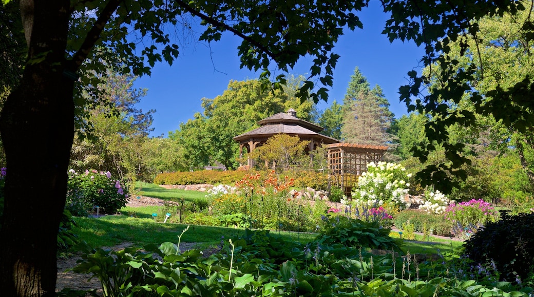 Dubuque Arboretum and Botanical Gardens which includes a park and wild flowers