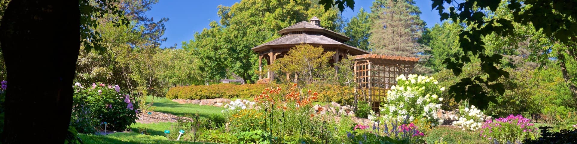 Dubuque Arboretum and Botanical Gardens showing a park and wildflowers