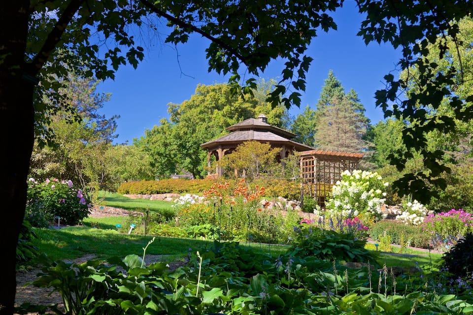 A gazebo in a lush garden with various plants and trees.