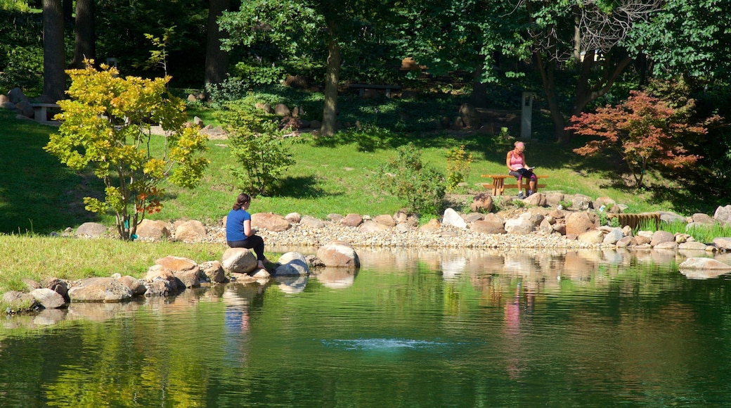 Dubuque Arboretum and Botanical Gardens featuring a park and a pond as well as an individual female