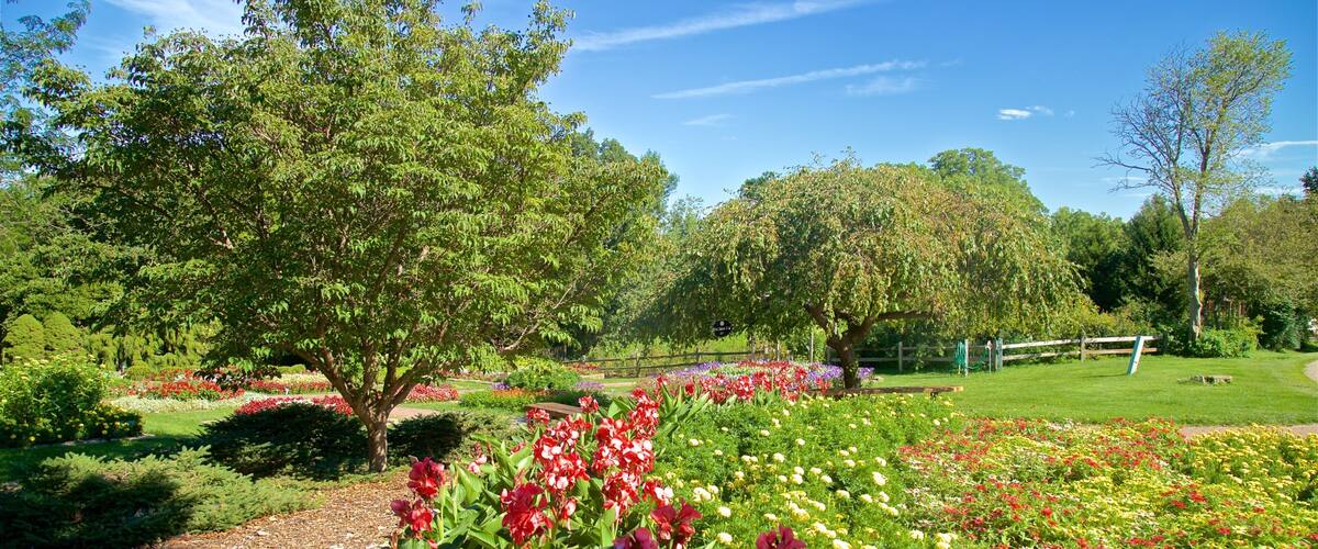 Dubuque Arboretum and Botanical Gardens das einen Wildblumen und Garten