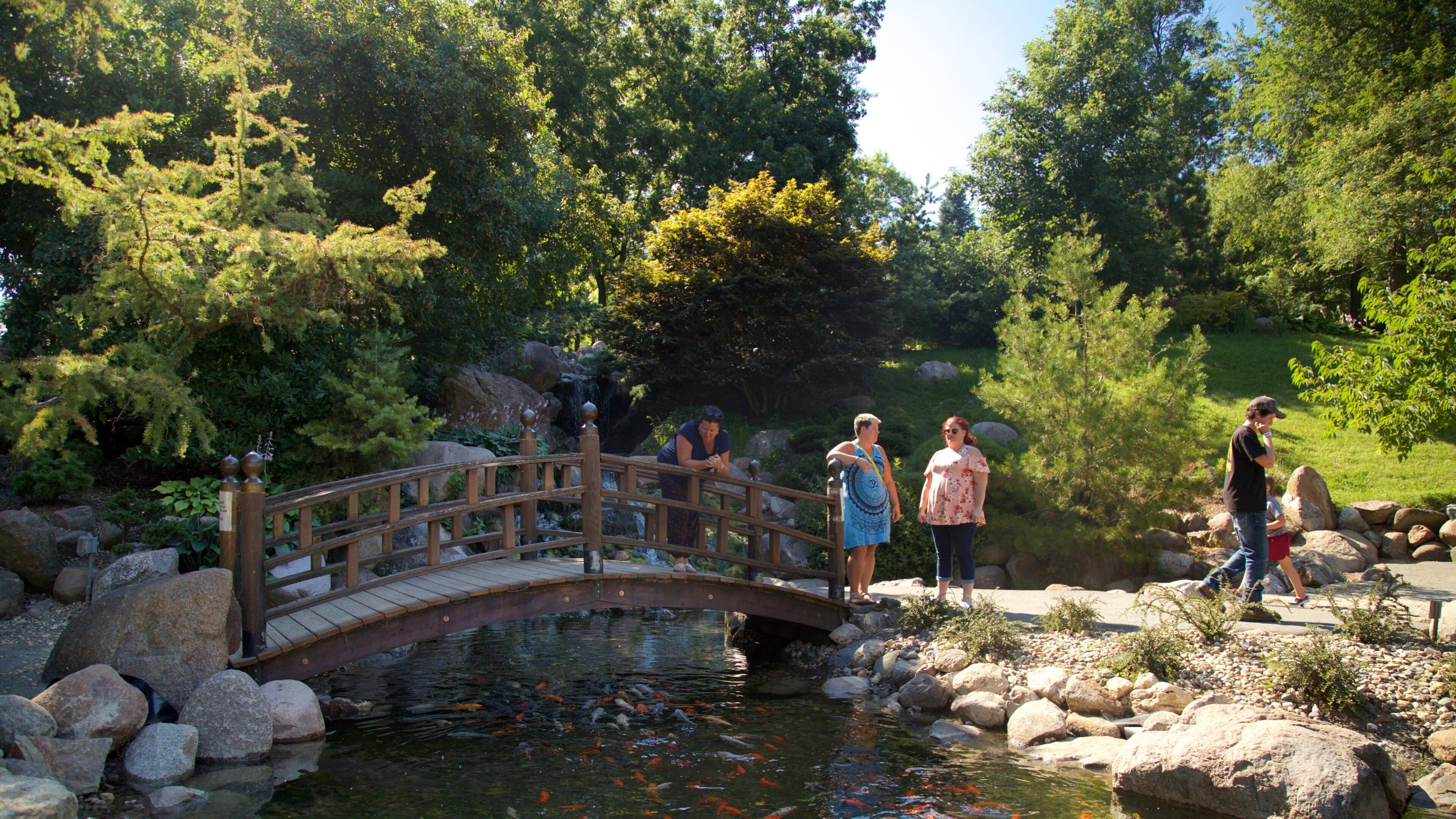 Dubuque Arboretum and Botanical Gardens featuring a bridge, a river or creek and a park