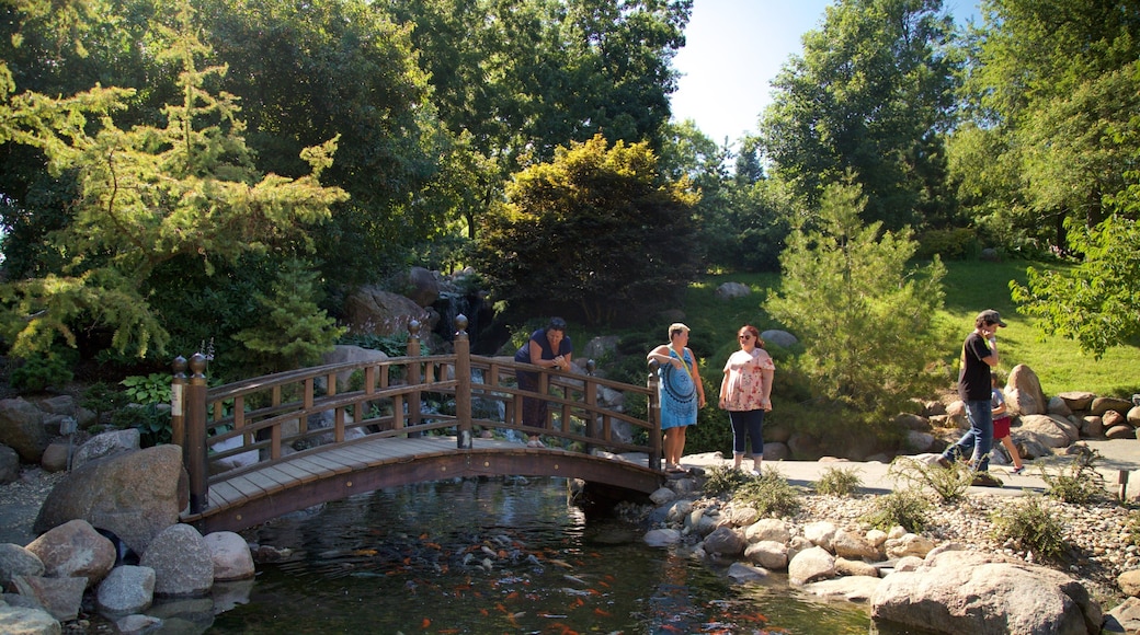 Dubuque Arboretum and Botanical Gardens featuring a bridge, a river or creek and a park