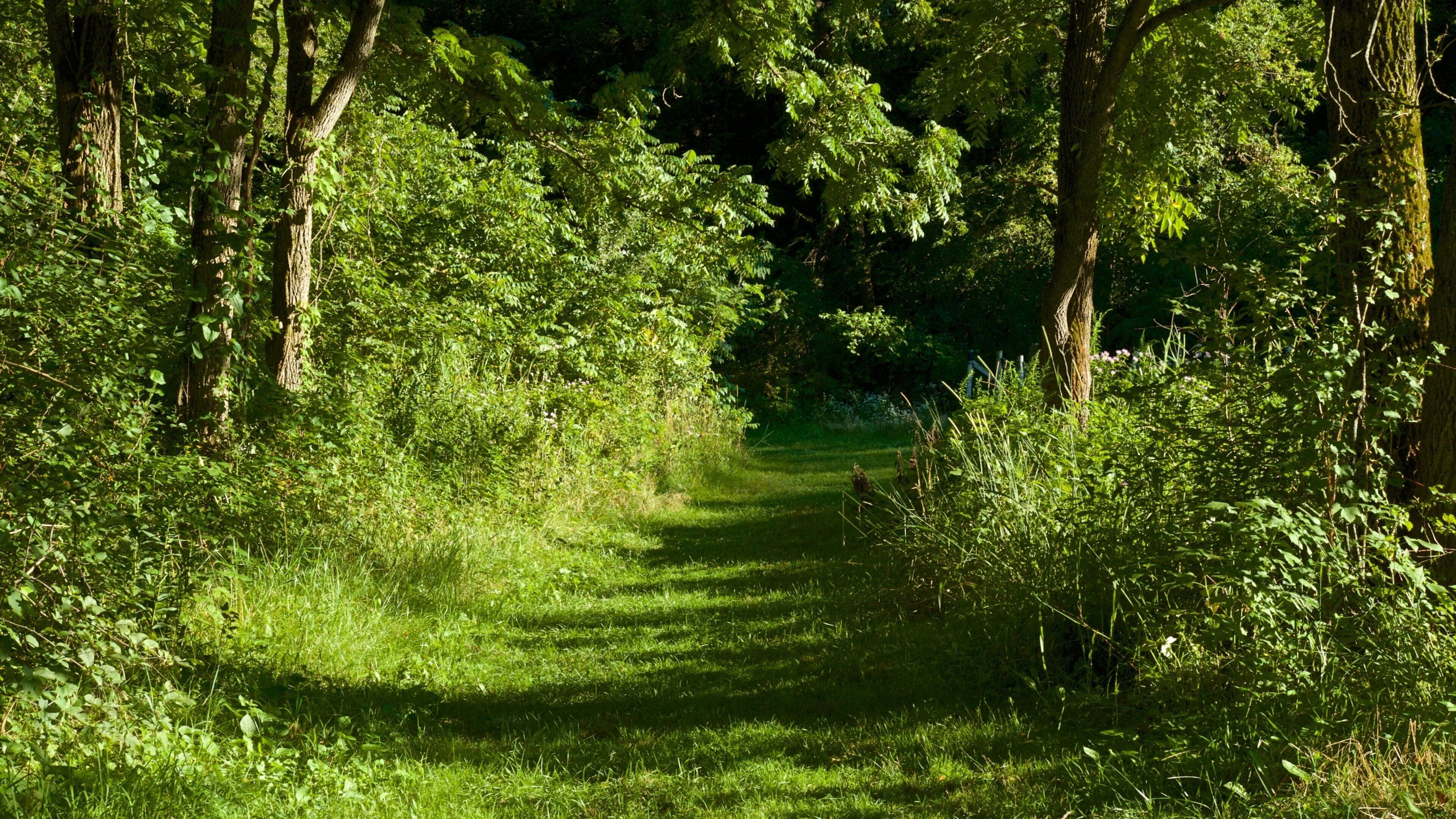 Mines of Spain Recreation Area which includes a garden