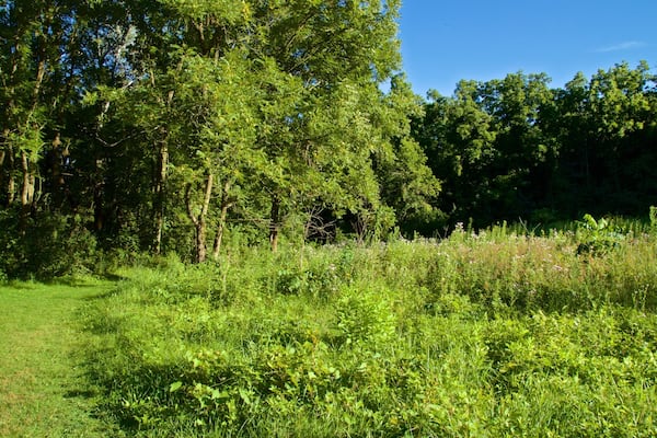 Parc Mines of Spain mettant en vedette parc