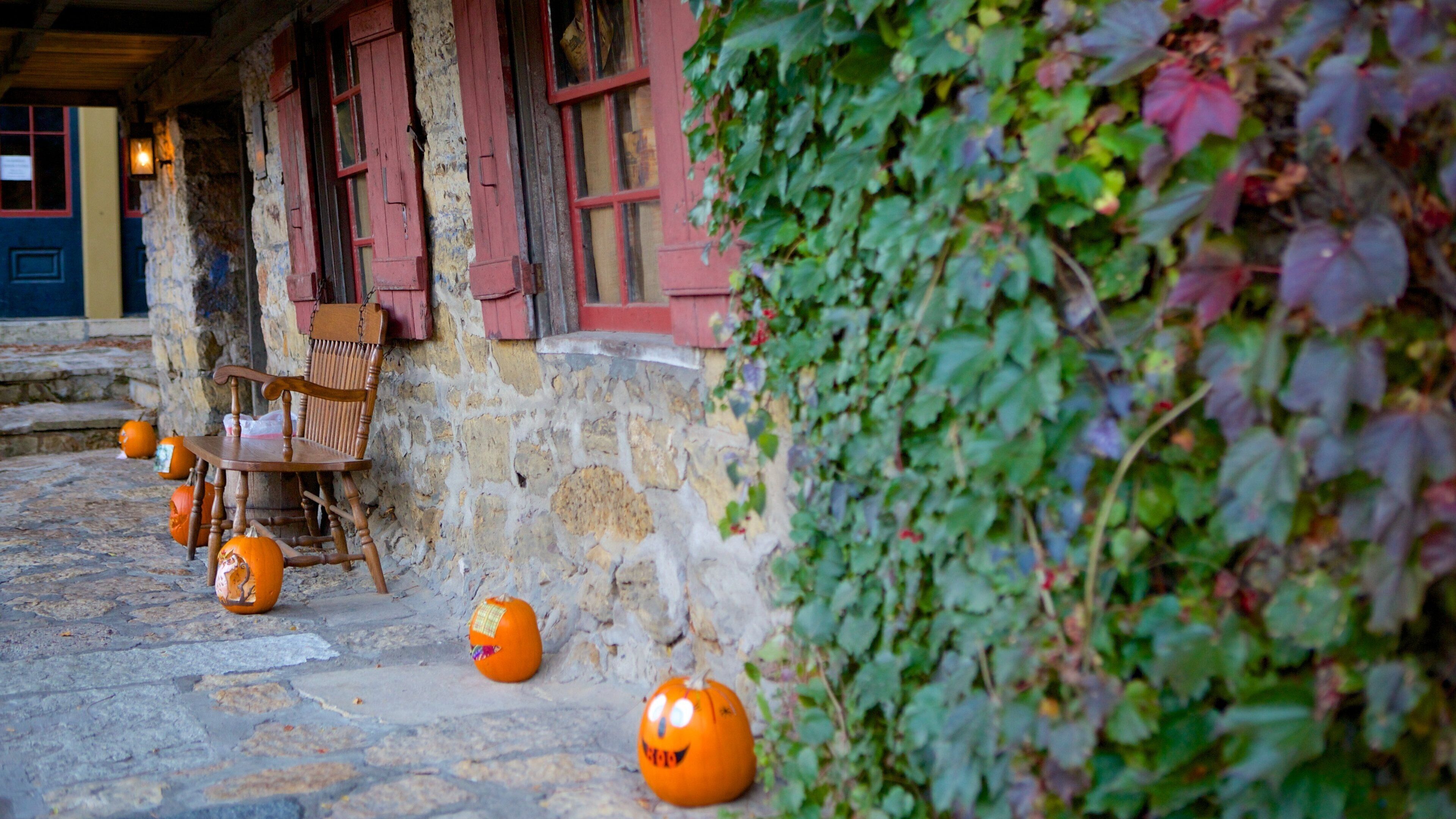 Galena che include oggetti d\'epoca e casa