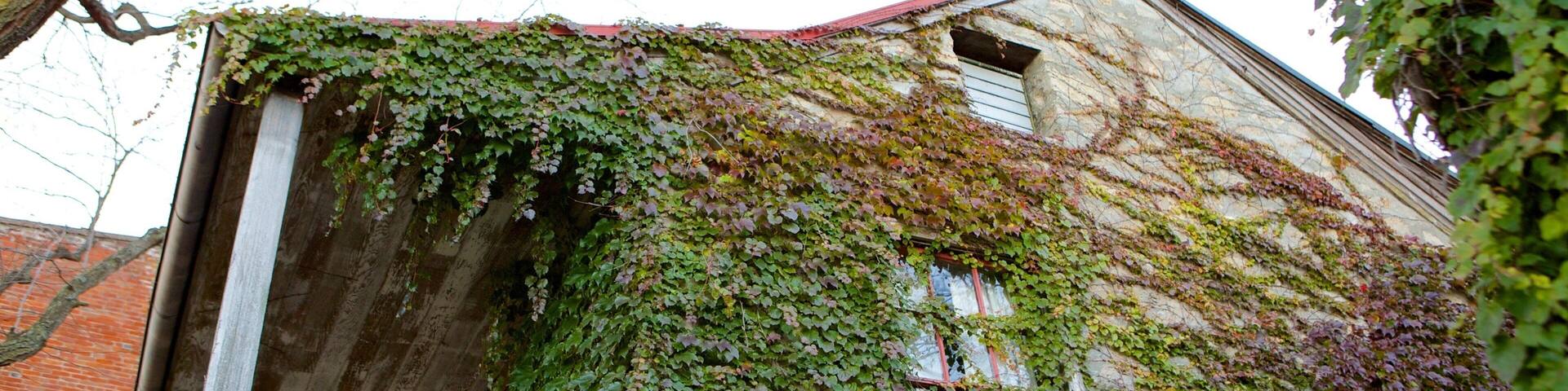 Galena featuring a house and heritage elements