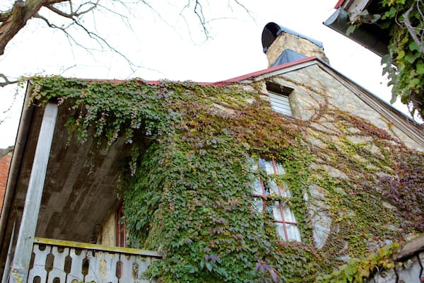 Galena caratteristiche di casa e oggetti d\'epoca