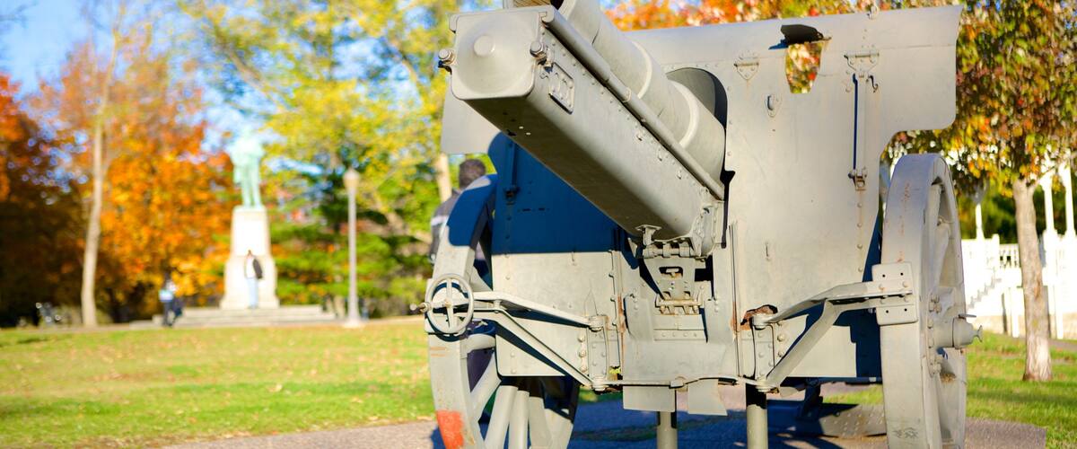 Galena featuring heritage elements, a garden and military items