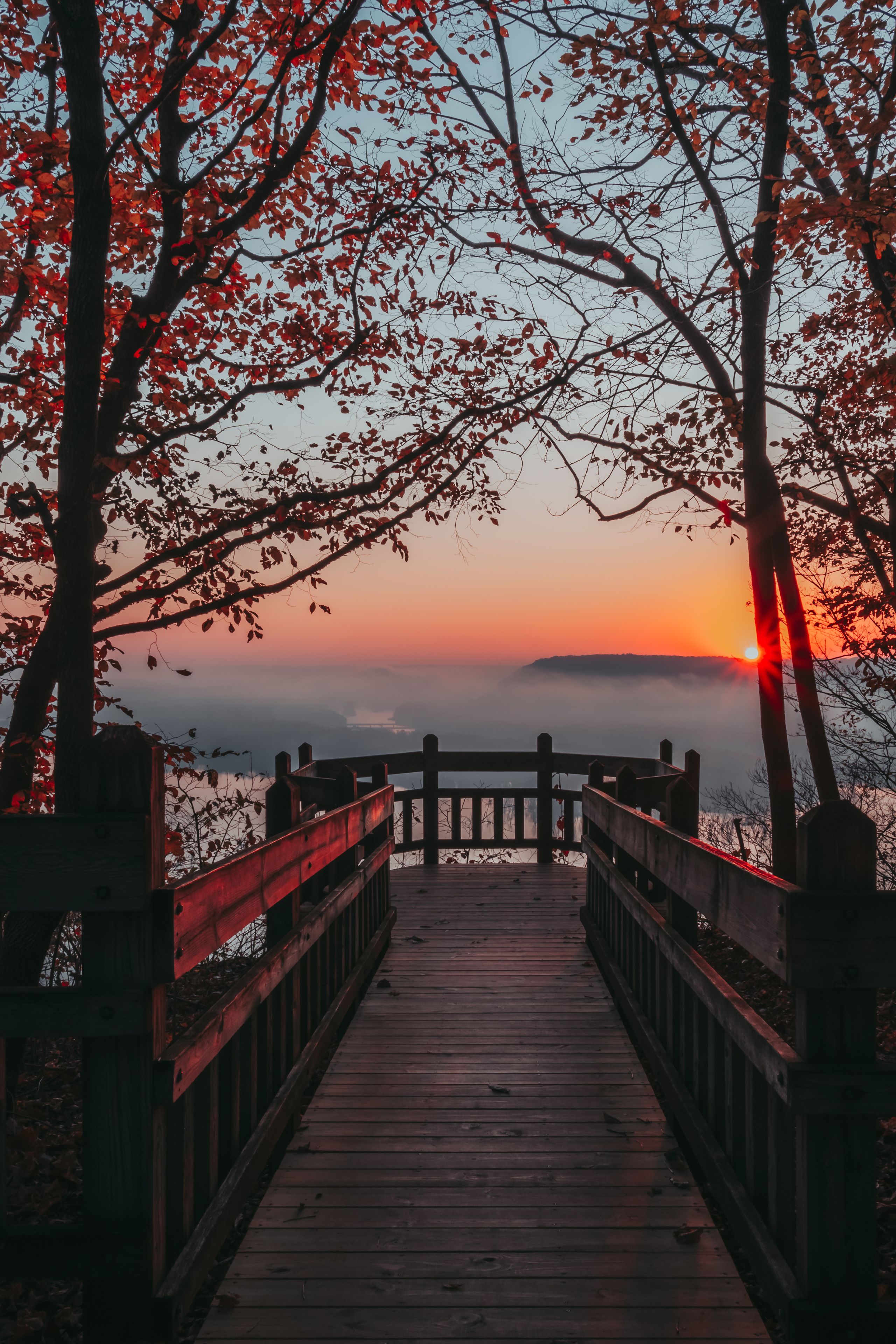 A wooden bridge leading to a sunset view with red autumn leaves.