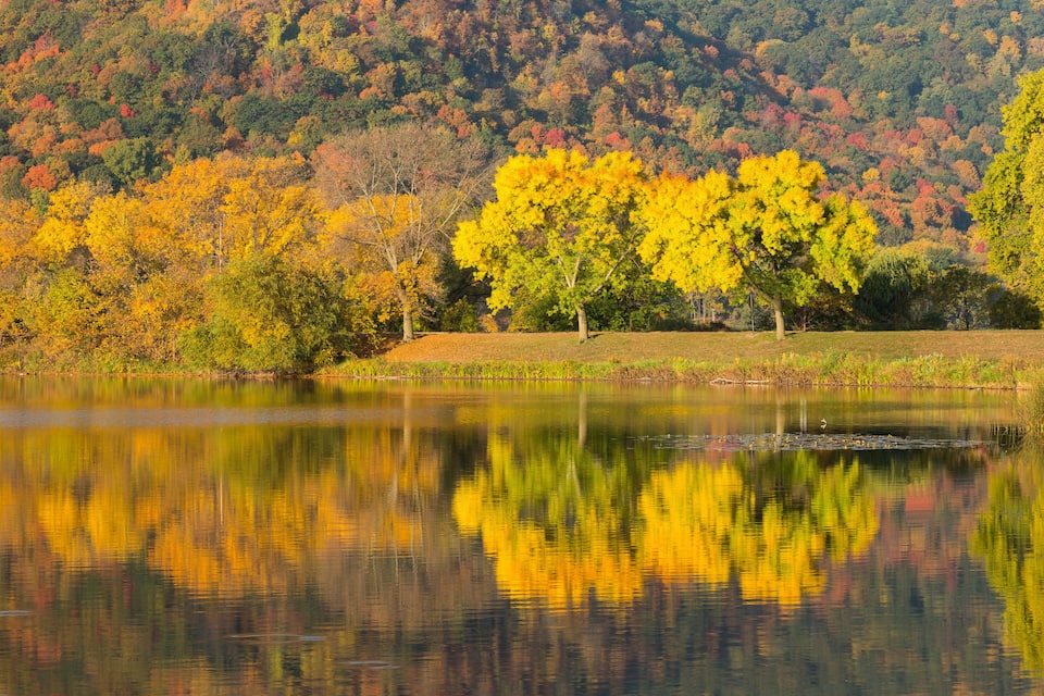 A calm lake reflecting yellow and green trees, surrounded by a forested hillside.