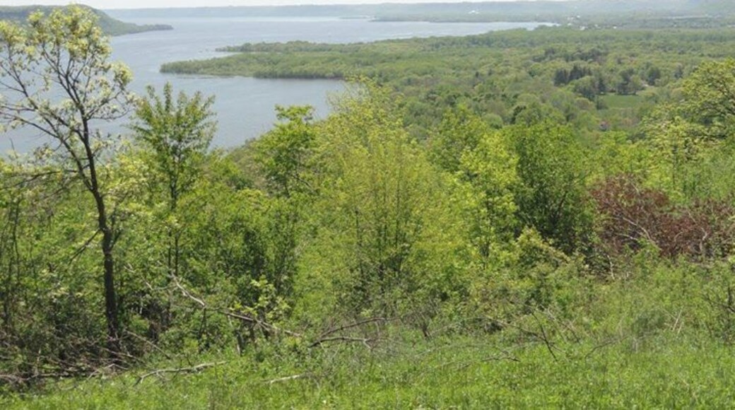 First visit to Minnesota.