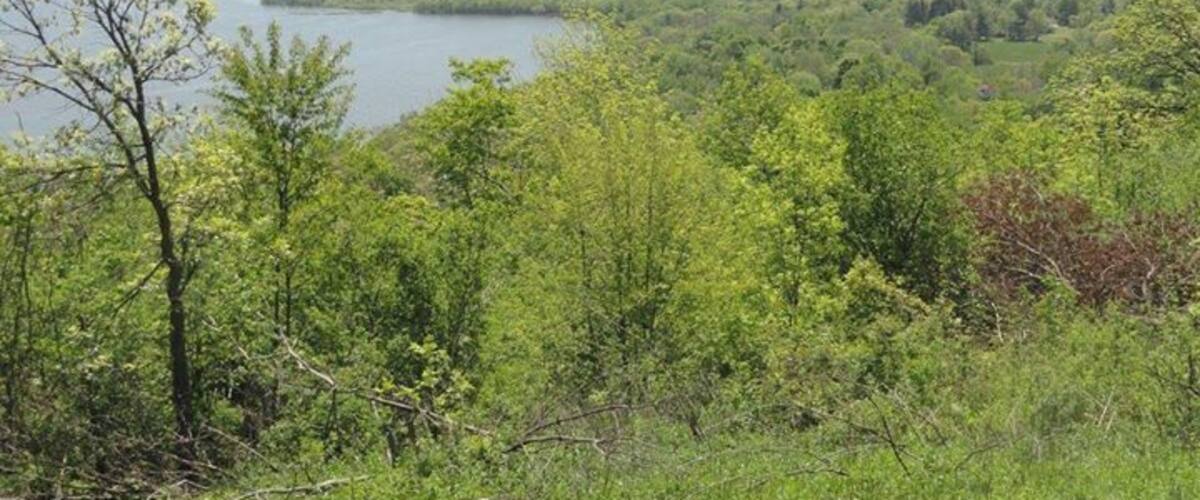 A lake surrounded by dense forest and hills.