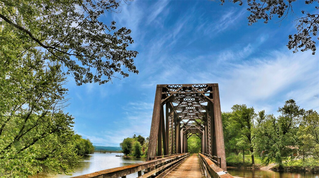 Beneath a blue sky with white clouds on a summer day in Wisconsin, an old train trestle has been converted to carry only hikers and bikers across a Mississippi backwater on the Great River Trail.