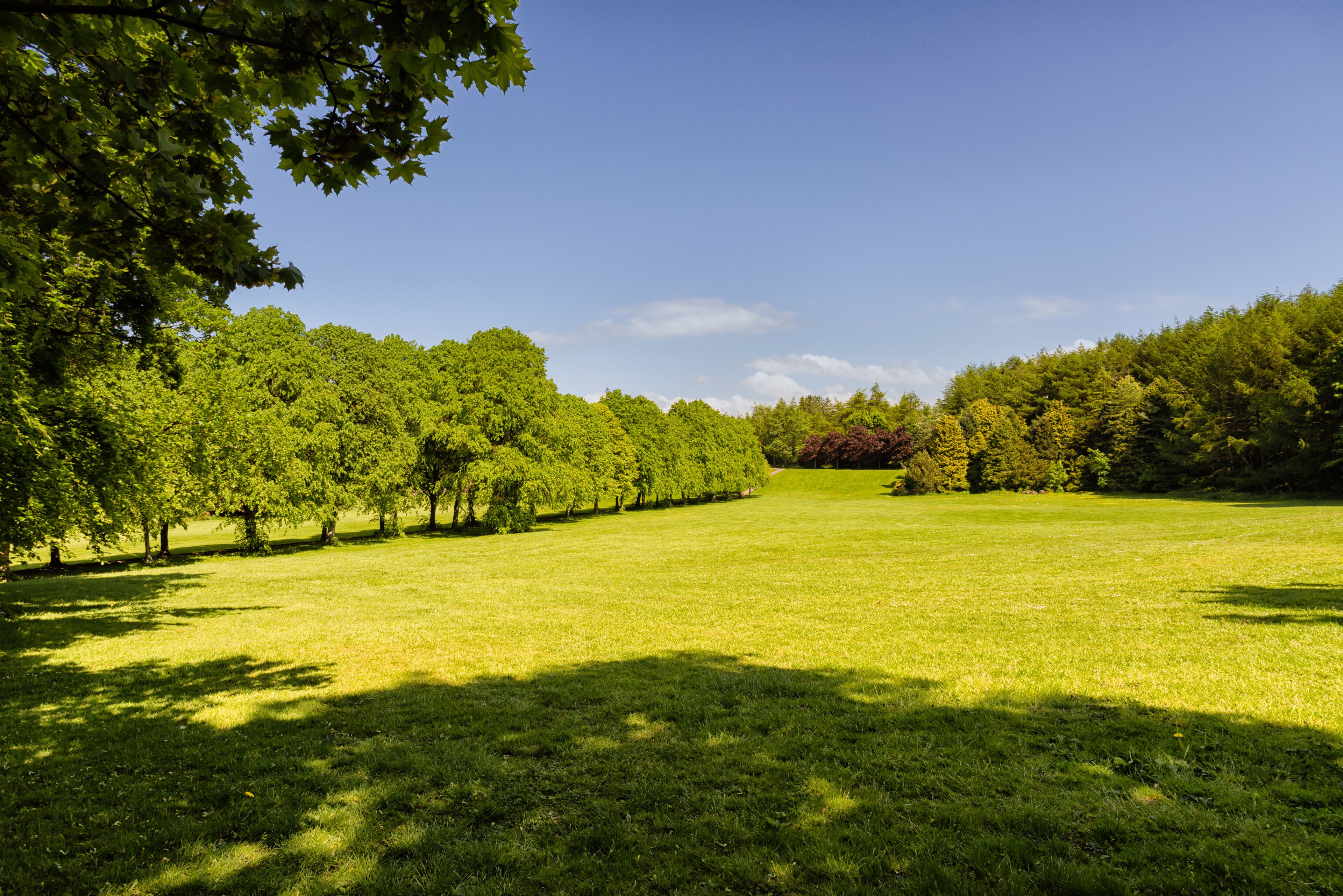 Eglinton Park Irvine Scotland