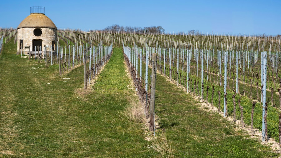 Celler i Vinya Cottage