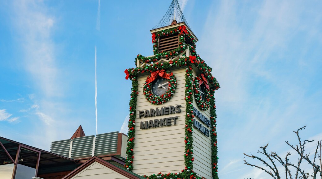 Downtown Farmers Market