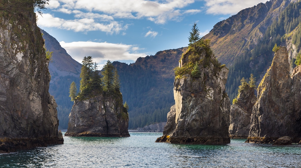Spire Cove located within Kenai Fjords National Park. Wildlife Cruise around Resurrection Bay, Alaska, USA.