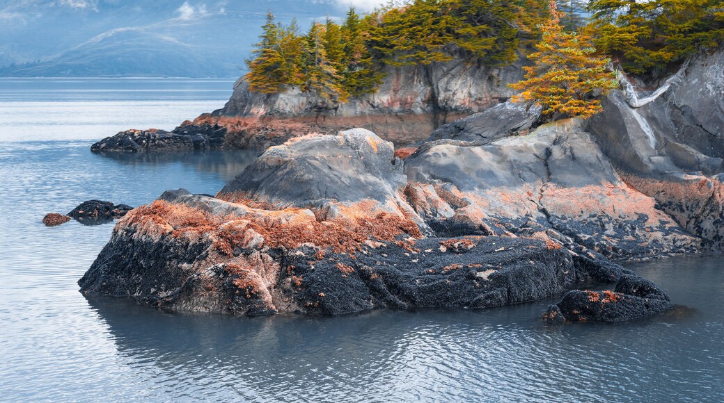 レザレクション湾