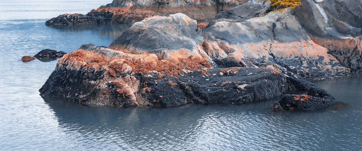 View of island from Kenai Fjords National Park Cruise tour in Alaska, USA.