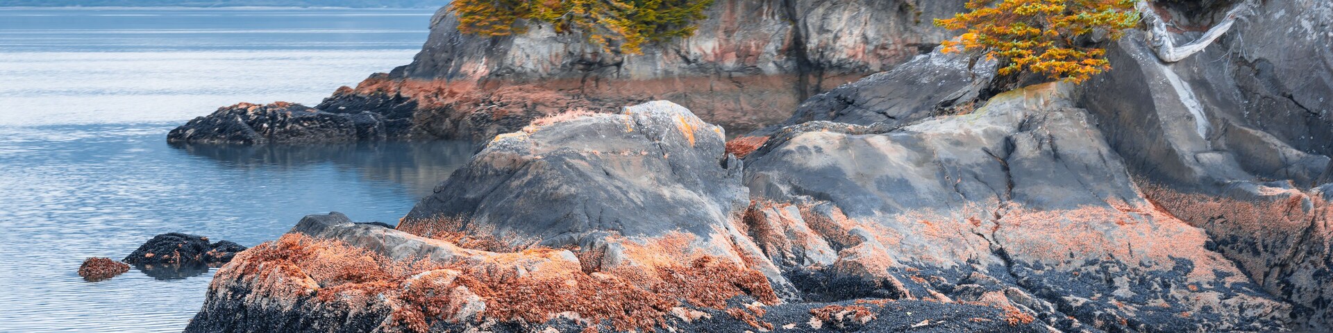 View of island from Kenai Fjords National Park Cruise tour in Alaska, USA.