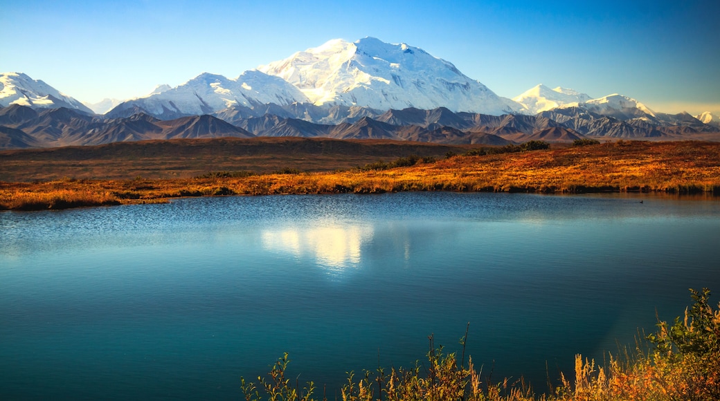 Denali Sunshine