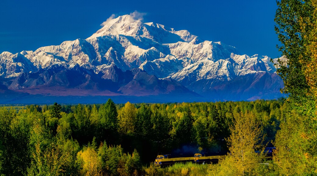 Denal in the alaska range and the Alaska railroad train. Denali is the highest mountain peak in North America, with a summit elevation of 20,310 feet