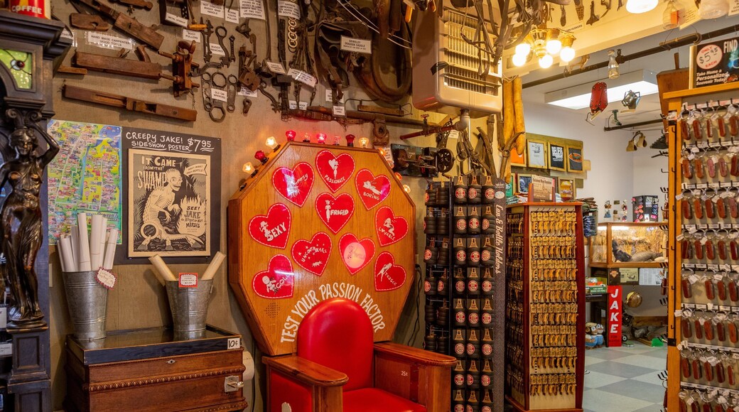 Marsh\'s Free Museum featuring heritage elements and interior views