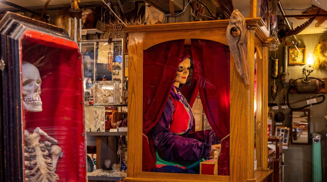 Marsh\'s Free Museum featuring interior views