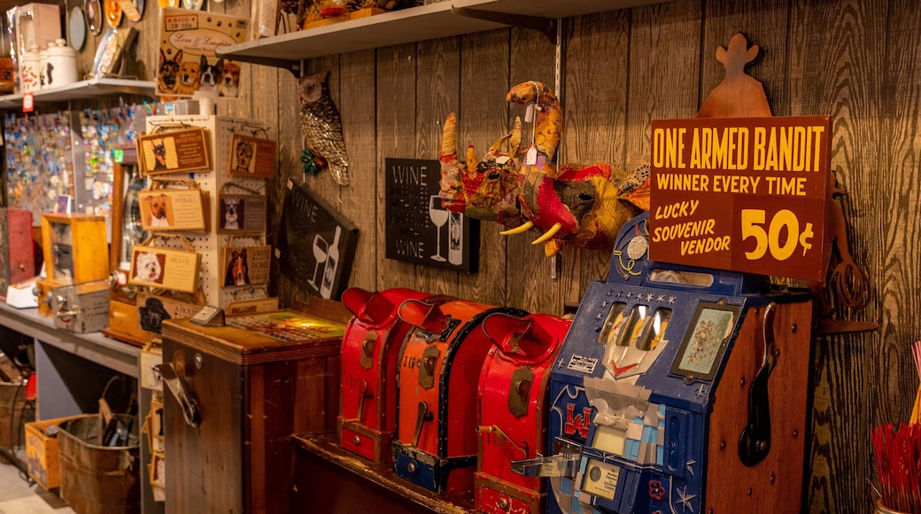 Marsh\'s Free Museum showing heritage elements and interior views