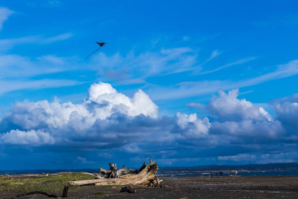 Ein Strand mit Treibholz, einem Drachen und einem bewölkten Himmel.