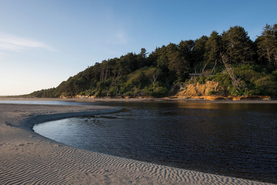 A riverbank with sandbanks and dense forest.