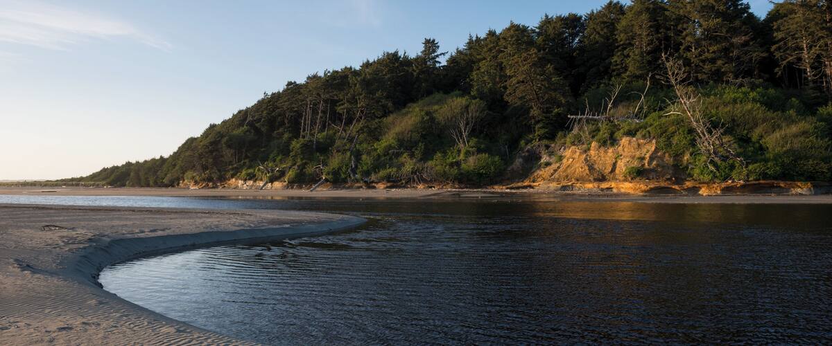 A riverbank with sandbanks and dense forest.
