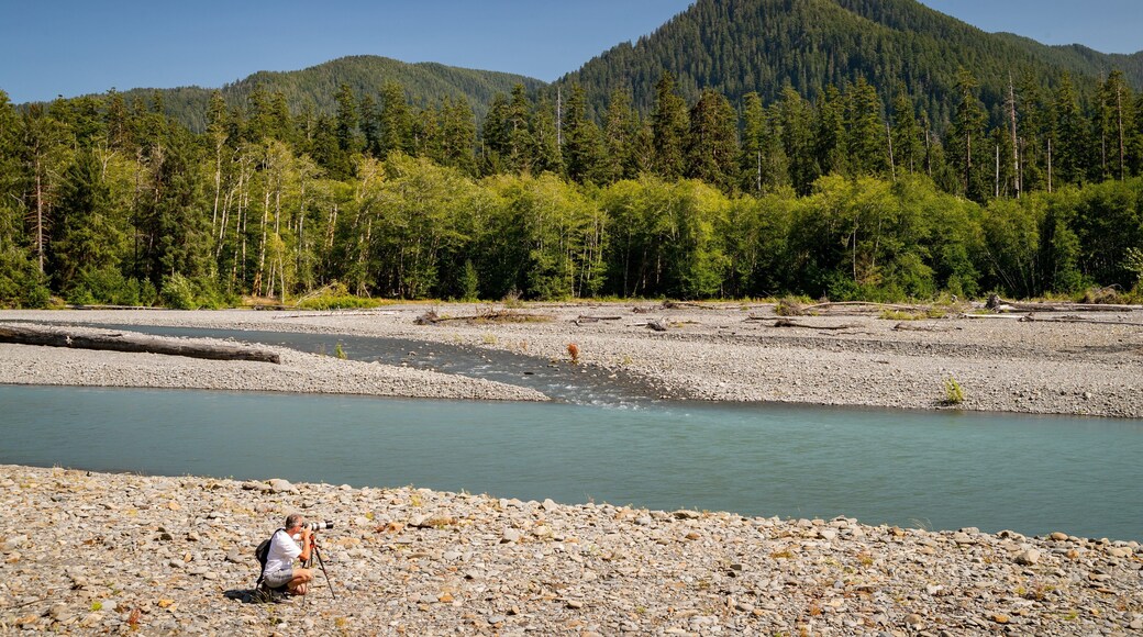Hoh River featuring a river or creek and forest scenes as well as an individual male