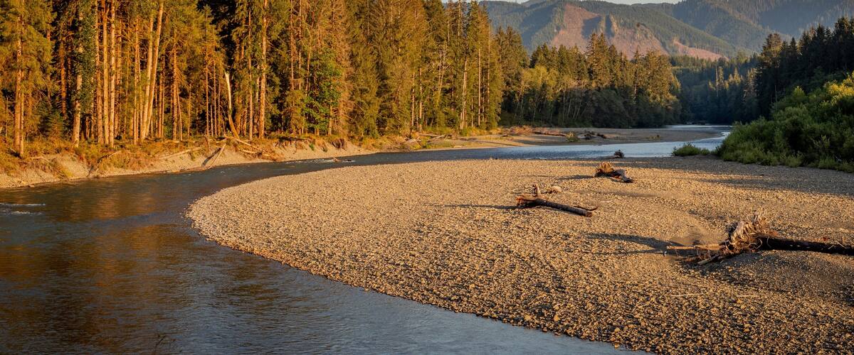 Hoh River which includes a river or creek, a sunset and landscape views