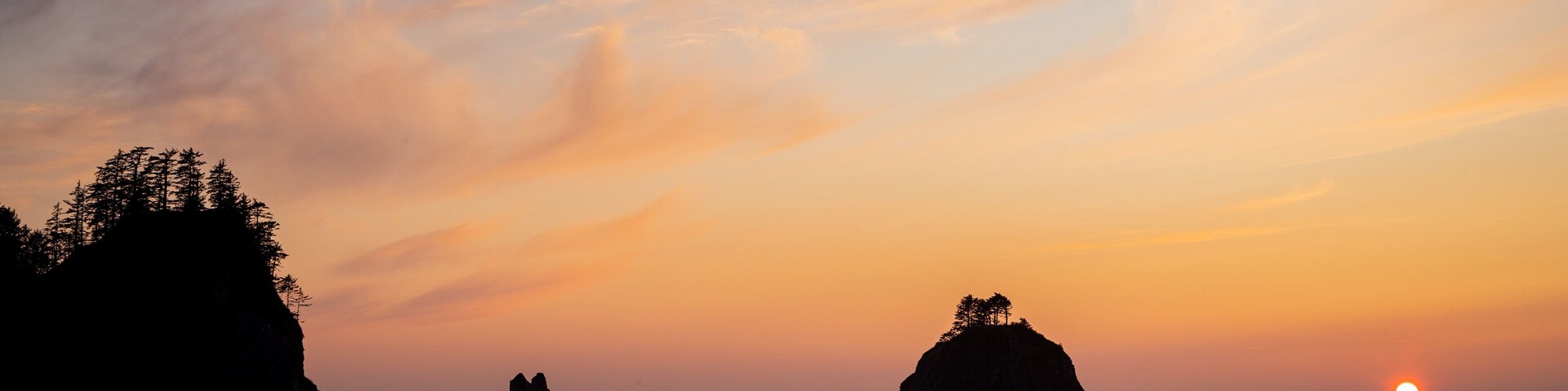 La Push showing general coastal views and a sunset