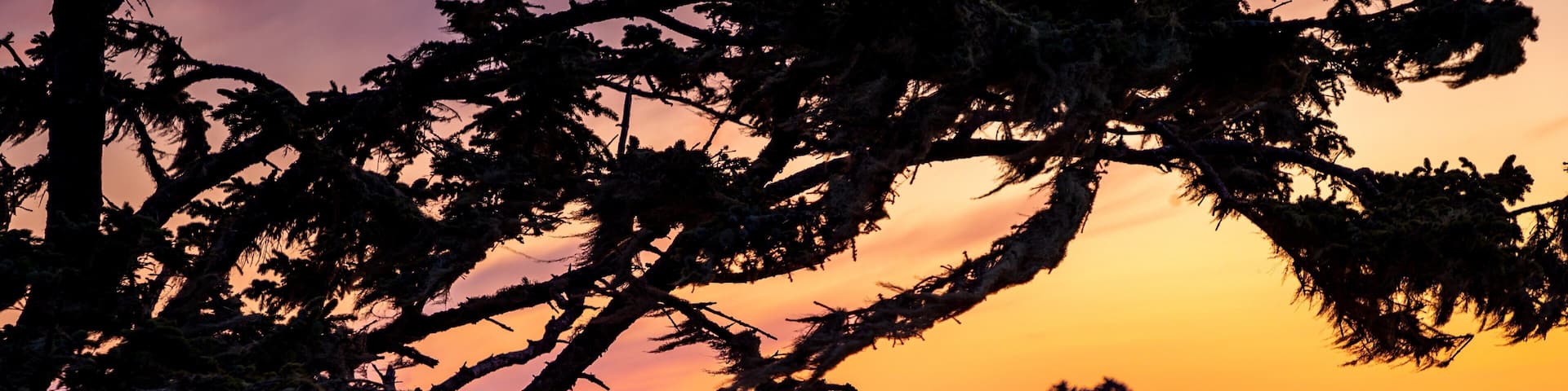 La Push which includes general coastal views and a sunset